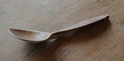 Wille's spoon crook